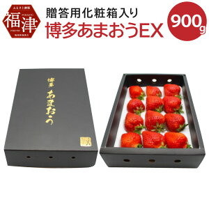 yӂ邳Ɣ[Łz ܂ EX ϔ 450g×2 v900g Y B Y C`S   ʕ  t[c  i \ y2026N1ȍ~z[G2250]