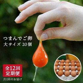 楽天市場 ふるさと納税 卵 食品 の通販
