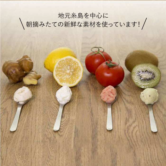 【ふるさと納税】LoiterMarketジェラートカップ10個セット:おすすめ5種類×各2個(ピスタチオ,塩,抹茶,ビターチョコ,キャラメル)AGD001