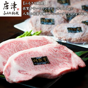 yӂ邳Ɣ[ŁzꋍT[CXe[L400gƐlC̍ꋍɏno[O140g×6(v1.2kg) a ȒP ʐ^ y J Mtgp ~ u2025N ߘa7Nv