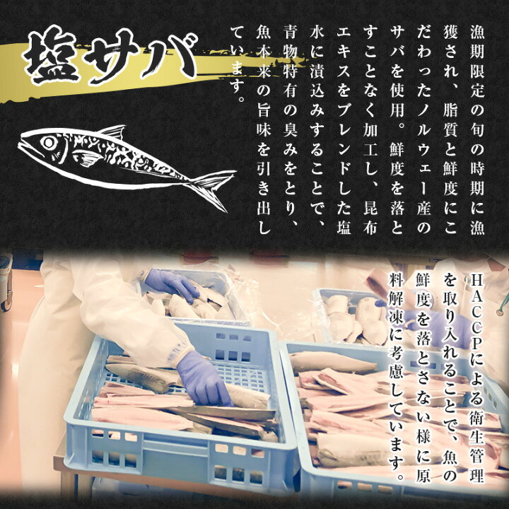 楽天市場 ふるさと納税 小分け塩さば切身 約30gの10切袋 5パック 約1 5kg 佐賀県唐津市