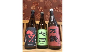 【ふるさと納税】厳選！「The SAGA 認定酒」純米酒3本飲み比べセット D205【佐賀地酒 酒 お酒 晩酌 日本酒 冷酒 冷や ぬる燗 和食に合う やや辛口 食中酒 純米酒セット 3本セット 万齢 七田 前 さき 古伊万里 父の日 ギフト 贈り物 嗜好品】