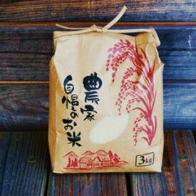 楽天市場 ふるさと納税 米 定期便10kg 12回の通販