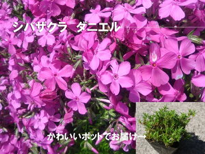yӂ邳Ɣ[ŁzVoUN@_jG10  c A ƒ؉ Ԓd v^[ K[fjO ōiBS151j