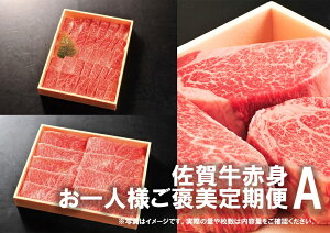 yӂ邳Ɣ[ŁzꋍllJցA@(2,4,6͂)lC̐ԐgIqXe[LAXCXAĂiDP084j