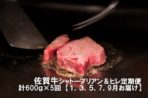 yӂ邳Ɣ[Łz̕ʁIꋍ1(1,3,5,7,9͂)ꋍVg[uAXe[L200g(1200g)ꋍqXe[L400g(2400g)ʖ3kgiDP035j