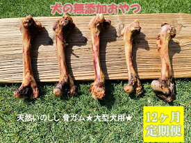 楽天市場 犬 ガム大の通販