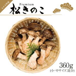 記事番号:33138/アイテムID:363359の画像