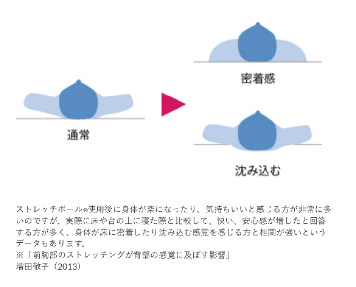 楽天市場】【ふるさと納税】【LPN社製】「ストレッチポールEX