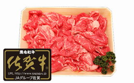 N25-3 【ふるさと納税】【佐賀牛】切り落とし肉700g