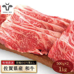 牛肉 切り落とし ふるさと納税の人気商品 通販 価格比較 価格 Com