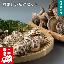 【ふるさと納税】対馬しいたけセット [WBM004]