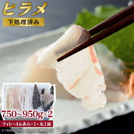 楽天市場 ヒラメ 一匹の通販