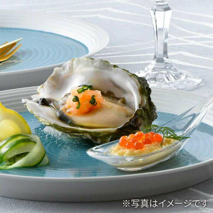 楽天市場】【ふるさと納税】【波佐見焼】ブルースプレッド 2枚セット  