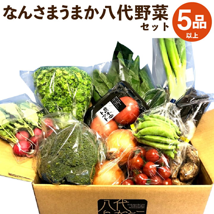 楽天市場 ふるさと納税 なんさまうまか 八代野菜セット 5品以上 野菜 やさい 詰め合わせ 旬の野菜 新鮮 朝採れ 八代よかとこ物産館 国産 九州産 熊本県産 送料無料 支援 生産者応援 お買い物マラソン 熊本県八代市