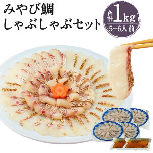 yӂ邳Ɣ[Łzق炢 ݂ё₵ԃZbg 250g×4pbN v1kg 5`6lO ₵ Ԃ CN X[vt F{Y BY Y Ⓚ  yVX[p[SALE 9J