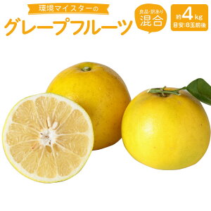 yӂ邳Ɣ[Łz}CX^[̃O[vt[c Ǖi 󂠂  4kg 8ʑO ͔|Ԓ 엿 _ O[vt[c t[c ʕ Y BY F{Y ① y2026N3