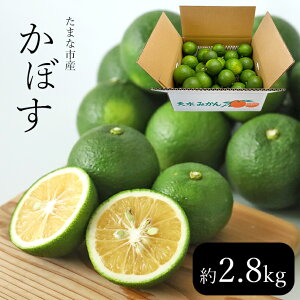 yӂ邳Ɣ[ŁzYڂ 2.8kg | 2.8L YҒ Yn H ڂ k ʕ Ă T[ ʖs ʖ F{ V Zs 