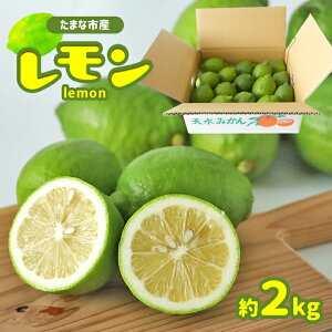 yӂ邳Ɣ[Łz Y 2kg |  k k Y  l[h T[ ݂͂ r^~ eB[ YҒ Yn ʖs ʖ F{ 