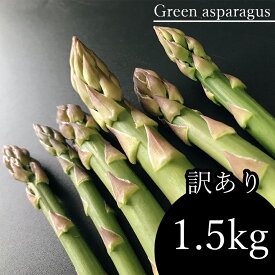 【ふるさと納税】 訳あり アスパラガス 1.5kg アスパラ 野菜 家庭用 産地直送 生産者直送 大小混合 1.5キロ 玉名 熊本 送料無料