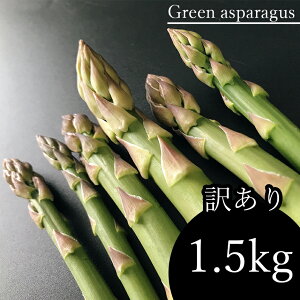 yӂ邳Ɣ[Łz 󂠂 AXpKX 1.5kg AXp  ƒp Yn YҒ 召 1.5L ʖ F{ 