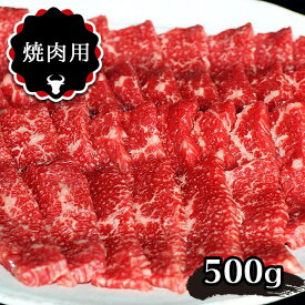【ふるさと納税】和牛 あか牛 焼肉用 500g熊本県 送料無料 | 玉名 熊本