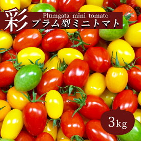 【ふるさと納税】ミニトマト 3kg カラートマト トマト プラム型 | 玉名 熊本