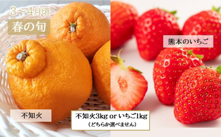楽天市場 ふるさと納税 定期便 熊本人気フルーツ 玉名市 旬な季節に合計6回発送 21年 熊本県 人気果物 白いちご 苺 不知火 メロン すいか アイス みかん 熊本県玉名市