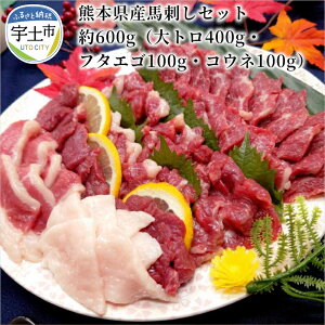 yӂ邳Ɣ[ŁzF{YnhZbg600gig400gEt^GS100gEREl100gj@^AItyF{Fysz