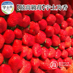 yӂ邳Ɣ[Łzō ̂ x15x 3LTCY ȏ  500g FyT n  Y ʕ { t[c fU[g Hi B  񂹃t[c 䕉  yF{