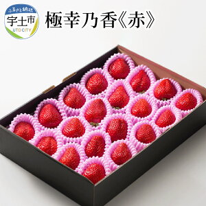 yӂ邳Ɣ[Łz ɍKT ̂  500g x13xȏۏ uh B F{Y Ö _ | RN r^~C ① 蕨 Mtg ϔ lΉ 䕉  t[c 