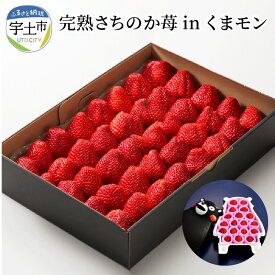 【ふるさと納税】苺 極幸乃香 完熟 さちのか くまモン 約 500g ブランド 九州 熊本県産 甘味 酸味 旨味 コク ビタミンC 冷蔵 贈り物 ギフト 熨斗対応 園村苺園 お取り寄せ フルーツ 果物 お取り寄せフルーツ 青果 生鮮 送料無料 【熊本県宇土市】