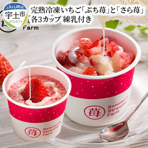 練乳 冷凍 いちごの人気商品 通販 価格比較 価格 Com