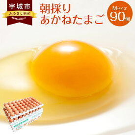 【ふるさと納税】朝採り あかねたまご 90個入 10個破損補償含む Mサイズ 国産 卵 冷蔵 産地直送 鶏卵 送料無料