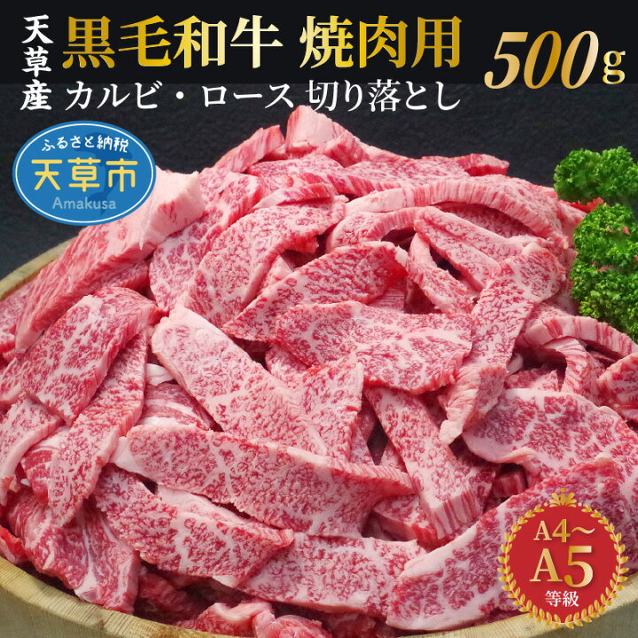 楽天市場 ふるさと納税 牛肉 切り落とし 500g 黒毛和牛 焼肉 カルビ ロース 等級 A5 国産 厚切り 霜降り 肉 牛 食品 お取り寄せ お取り寄せグルメ 送料無料 ごはんのおとも 食べ物 冷凍 九州 熊本県 熊本県天草市