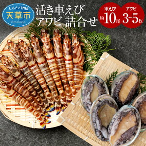 yӂ邳Ɣ[Łzywz  lߍ킹 650g Ԃ 300g 10O Ar 350g 3`5 ܂ CN Zbg VN C̍K F{ V Hi  񂹃O 