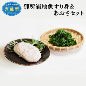 【ふるさと納税】海の幸 セット 地魚すり身 あおさ 天ぷら かき揚げ 味噌汁 お吸い物 加工品 鮮度 新鮮 海産物