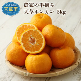 【ふるさと納税】柑橘 ポンカン 約 5kg 早生 果物 フルーツ 手摘み 天草ぽんかん ギフト 予約受付