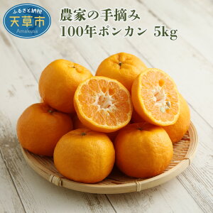 yӂ邳Ɣ[Łzk |J  5kg  ʕ t[c E Z x 100Nۂ񂩂 Mtg \t