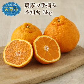 【ふるさと納税】柑橘 不知火 約 3kg 果物 フルーツ 手摘み ギフト 予約受付