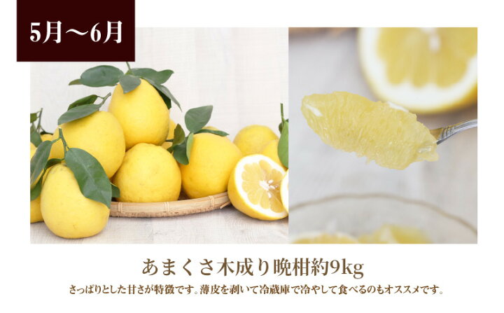 楽天市場】【ふるさと納税】訳あり 定期便 3回 柑橘3種類 計24kg ポンカン 10kg 不知火 5kg 晩柑 9kg 甘み 酸味 むきやすい さっぱり 柑橘 フルーツ 果物 たっぷり 天草 お取り寄せ お取り寄せグルメ 常温 予約受付 送料無料 : 熊本県天草市 楽天市場】【ふるさと納税】訳あり 定期便 3回 柑橘3種類 計24kg ポンカン 10kg 不知火 5kg 晩柑 9kg 甘み 酸味 むきやすい さっぱり 柑橘 フルーツ 果物 たっぷり 天草 お取り寄せ お取り寄せグルメ 常温 予約受付 送料無料 : 熊本県天草市