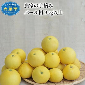【ふるさと納税】柑橘 パール柑 9kg以上 果物 フルーツ 真珠 手摘み ギフト 予約受付