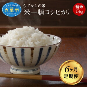 yӂ邳Ɣ[Łz  A 6 5kg v30kg RVqJ VY  Pꌴ c S  Â oX   ɂ ٓ o[xL[ ނ _  n