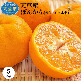 【ふるさと納税】柑橘 ぽんかん 5kg サンゴールド 果物 フルーツ みかん ミカン 天草 先行予約