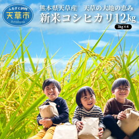 【ふるさと納税】新米 令和6年産 コシヒカリ 12kg 大地の恵み 精米 3kg 4袋 単一原料米 国産 米 お米 白米 ごはん 熊本県 天草 お取り寄せ 食品 九州 ふっくら もっちり 送料無料