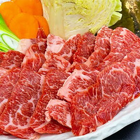 【ふるさと納税】熊本県産 GI認証取得 和牛 くまもとあか牛 焼き肉用 切り落とし 合計600g (300g×2) あか牛 牛肉 和牛 牛 肉 お肉 焼き肉 焼肉 ヘルシー 切落し 国産 冷凍 送料無料