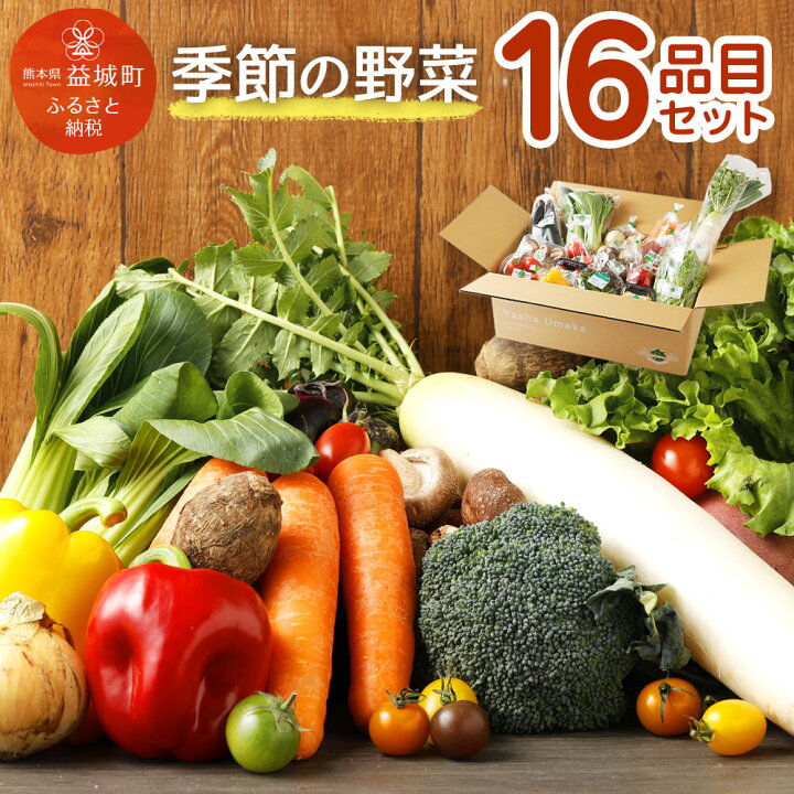 楽天市場 ふるさと納税 季節の野菜 16品目 セット 野菜 やさい 詰め合わせ 旬の野菜 ランダム おまかせ 冷蔵 国産 春 旬 春野菜 送料無料 熊本県益城町