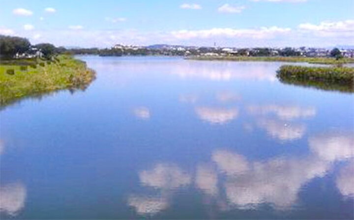 楽天市場 ふるさと納税 定期便6回 い ろ は す いろはす 阿蘇の天然水 2l 計12本 6回 合計72本 2l 6本 2ケース 水 軟水 飲料水 ミネラルウォーター コカ コーラ ドリンク ペットボトル 阿蘇 熊本県 定期便 送料無料 熊本県益城町 楽天市場 ふるさと納税 定期便6回 い ろ は す いろはす 阿蘇の天然水 2l 計12本 6回 合計72本 2l 6本 2ケース 水 軟水 飲料水 ミネラルウォーター コカ コーラ ドリンク ペットボトル 阿蘇 熊本県 定期便 送料無料 熊本県益城町