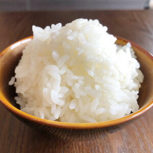 yӂ邳Ɣ[ŁzF{Y _Ƃ̐V qmqJ 4.5kg ߘa7NY    V  BY Y v钬 y2025N10{`12{ɏ\z