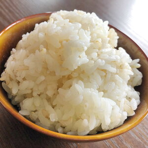 yӂ邳Ɣ[Łz茺ėp ĎZbg  5kg ^bp[ 1 qmqJ ߘaNx   茺 n F{Y BY Y v钬 y2025N11{菇